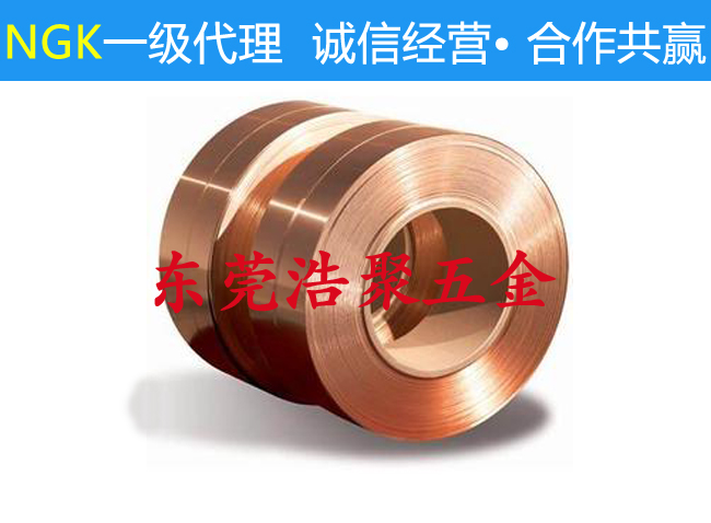 日本进口钛铜带